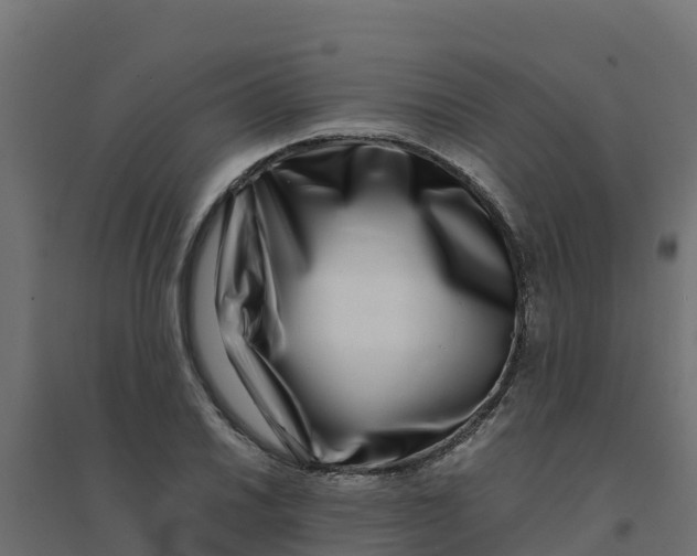 X0000094341030200711241847