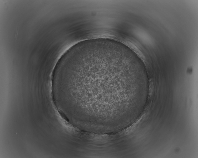 X0000094341031200711241847