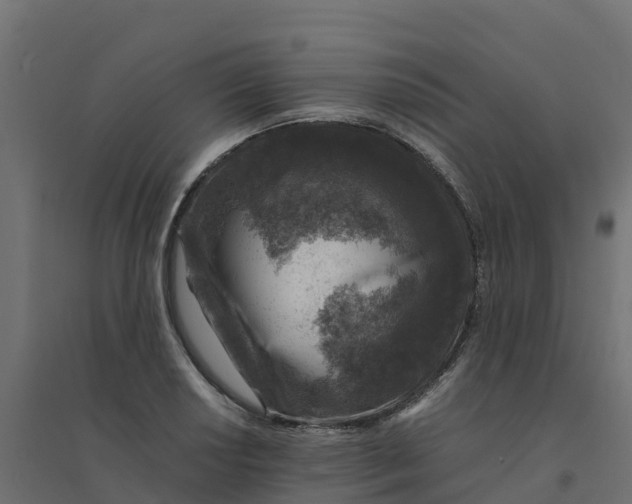 X0000094341034200711241847