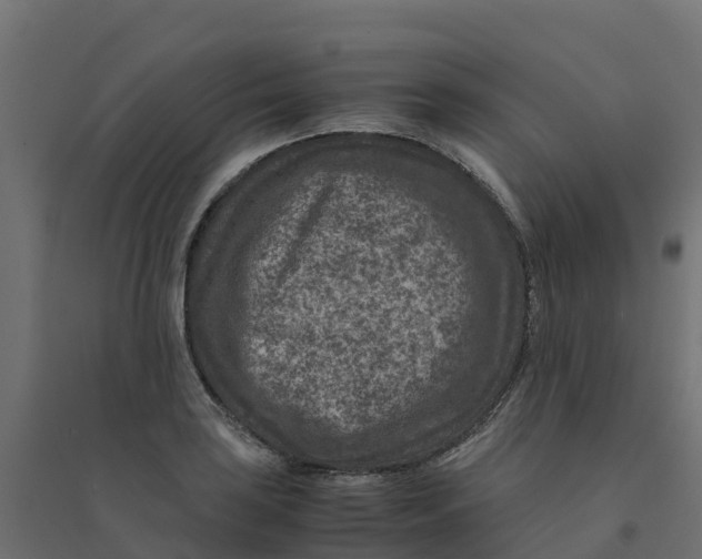 X0000094341035200711241847