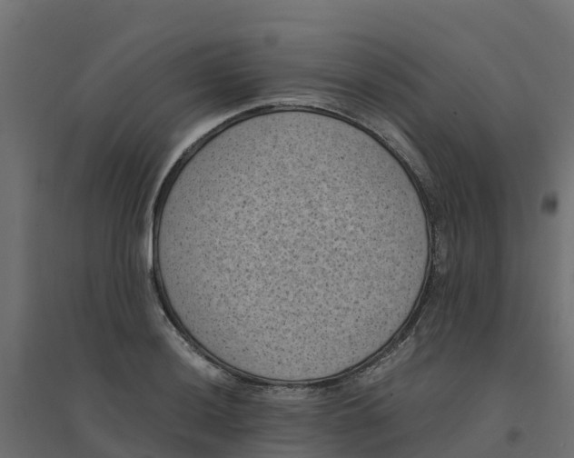 X0000094341036200711241847