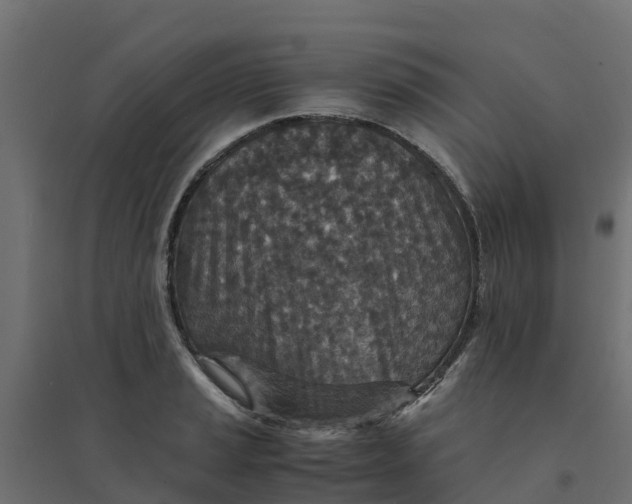 X0000094341037200711241847