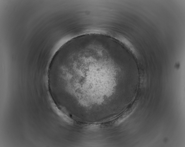 X0000094341038200711241847