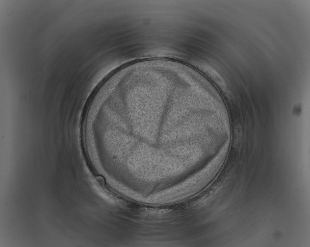 X0000094341039200711241847