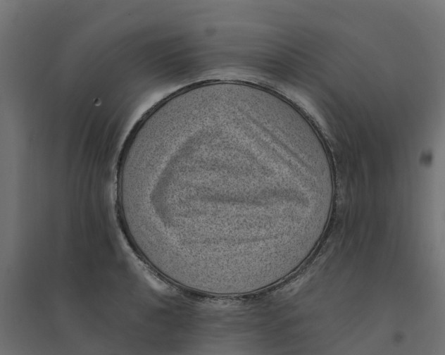 X0000094341040200711241847