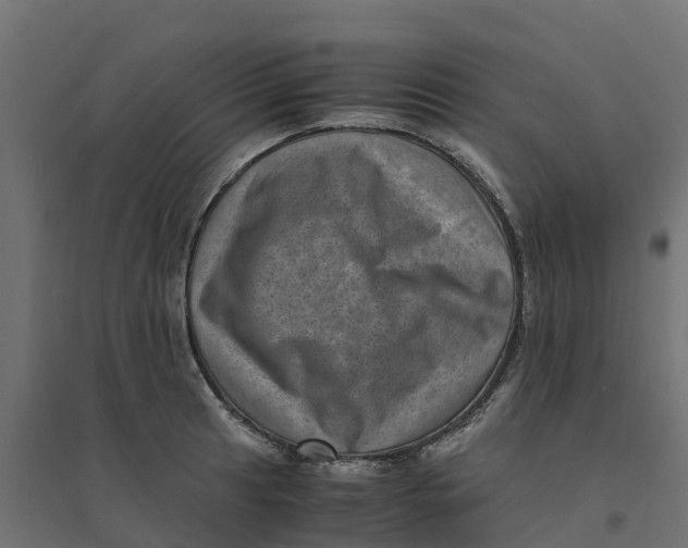 X0000094341041200711241847