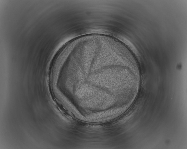 X0000094341043200711241847