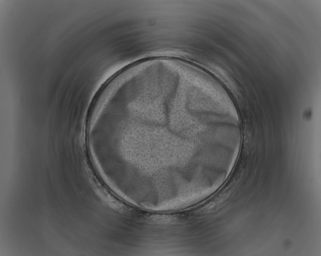 X0000094341044200711241847