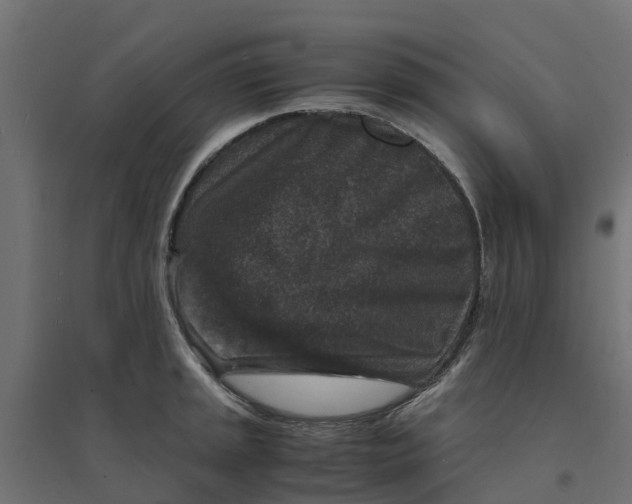 X0000094341045200711241847