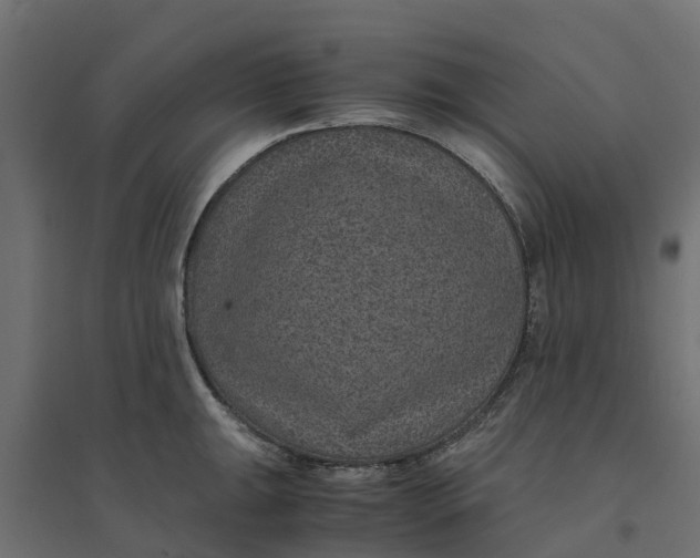 X0000094341047200711241847