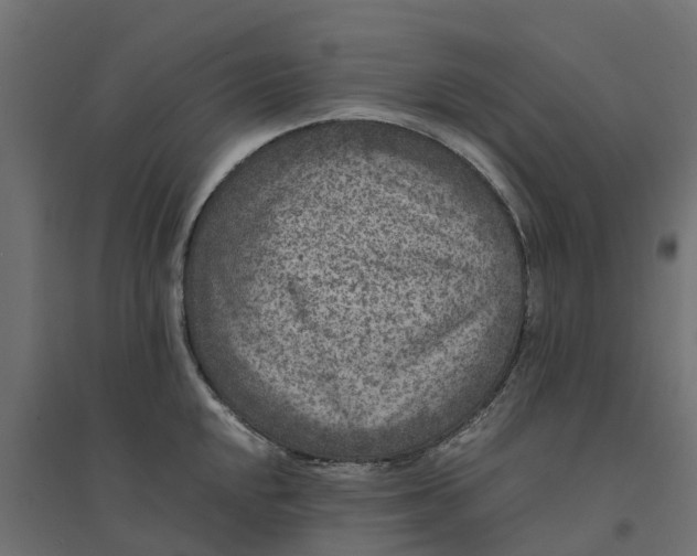 X0000094341048200711241847