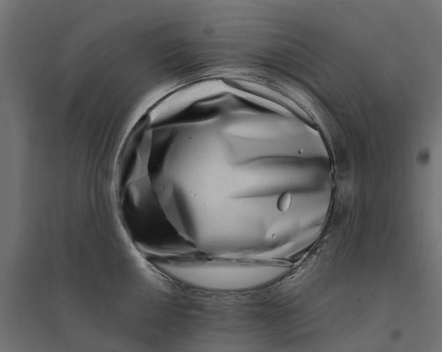 X0000094341050200711241847