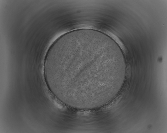 X0000094341051200711241847