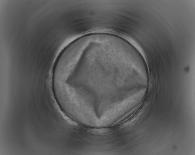 X0000094341053200711241847