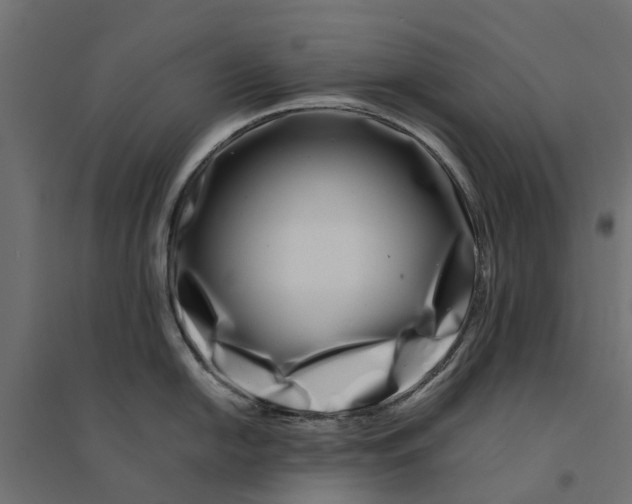 X0000094341054200711241847