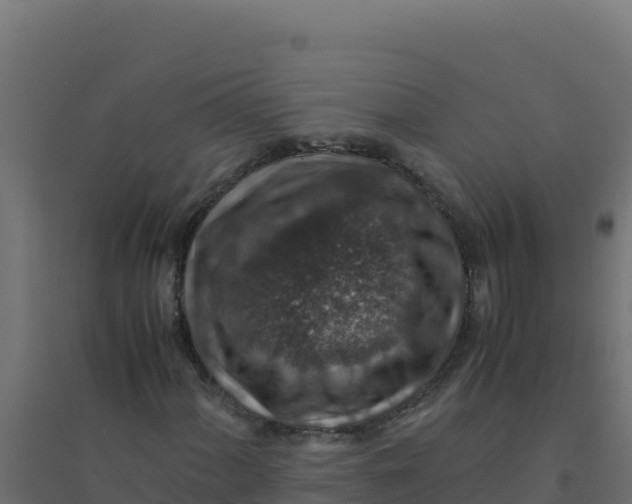 X0000094341060200711241847