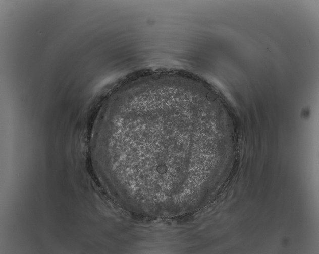 X0000094341063200711241847