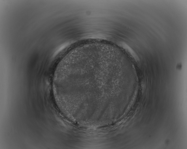 X0000094341064200711241847