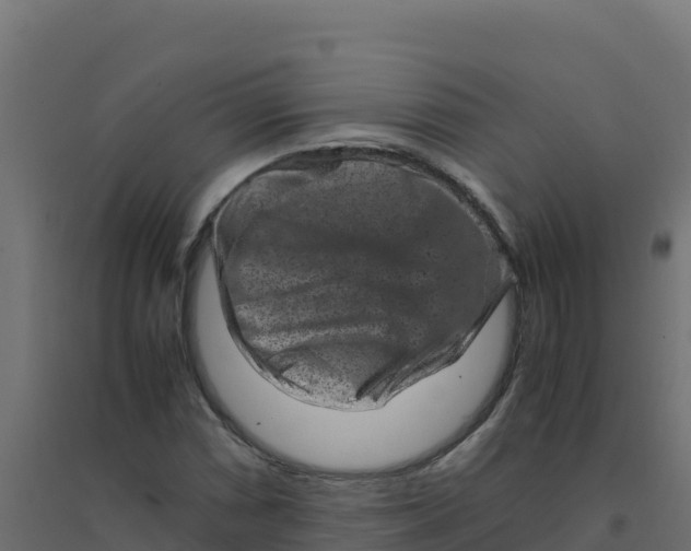 X0000094341066200711241847