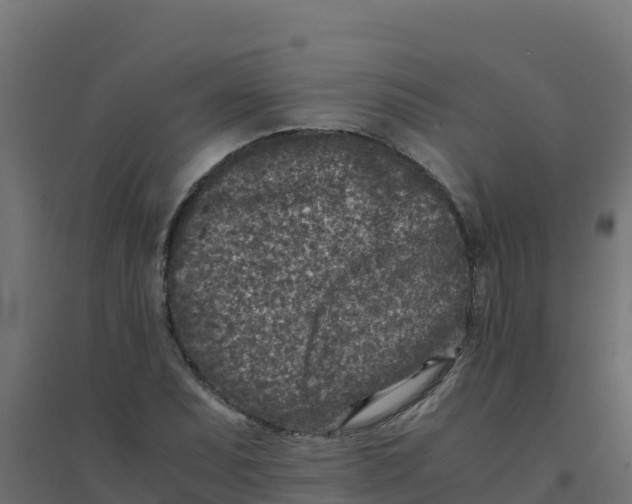 X0000094341071200711241847