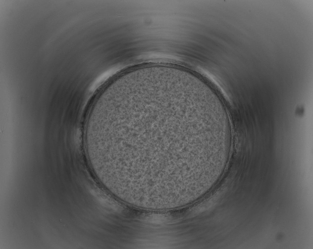 X0000094341074200711241847