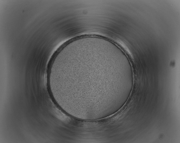 X0000094341076200711241846