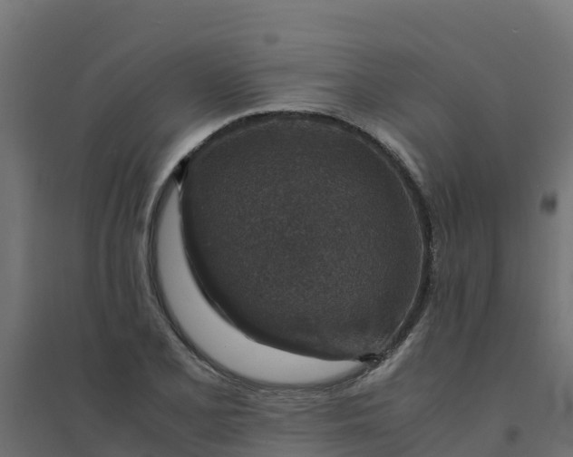 X0000094341077200711241846