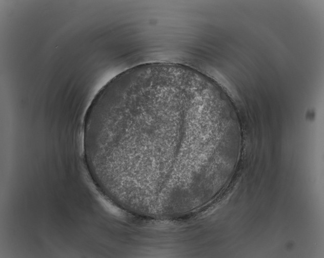 X0000094341079200711241846