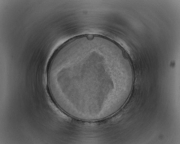 X0000094341080200711241846