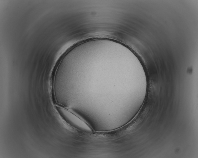 X0000094341082200711241846