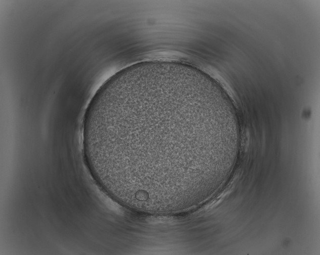 X0000094341083200711241846