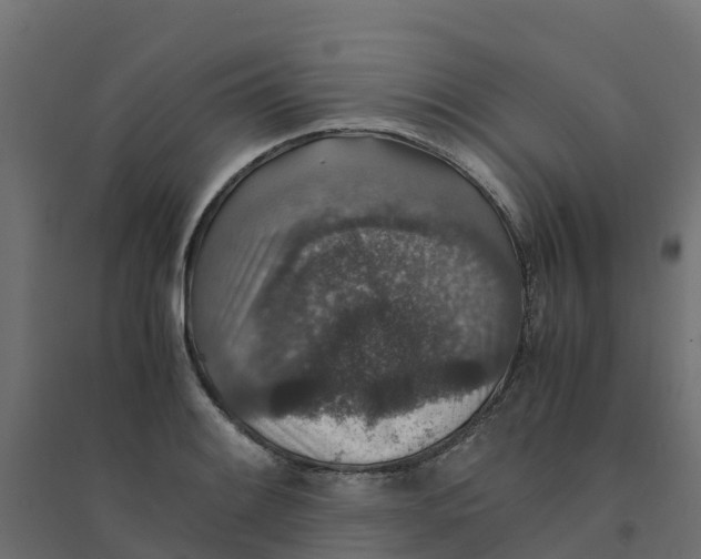 X0000094341084200711241846