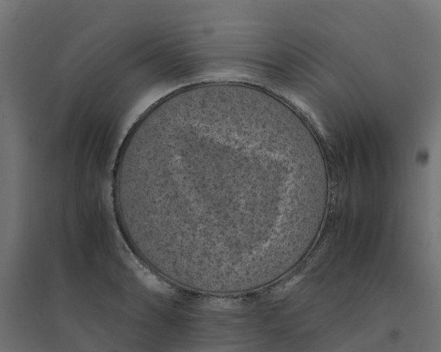 X0000094341086200711241846