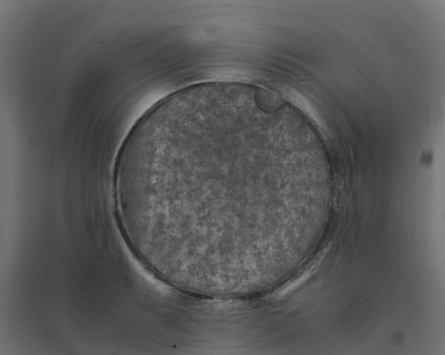 X0000094341087200711241846