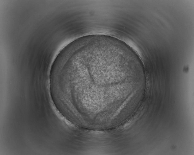 X0000094341088200711241846