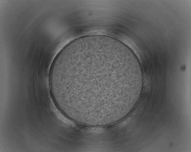 X0000094341090200711241846