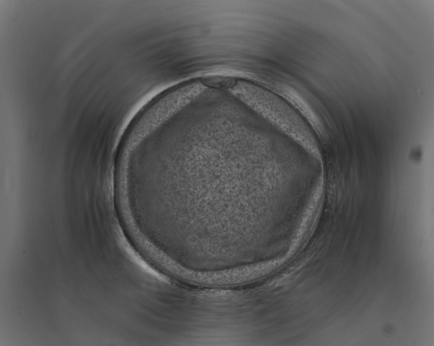 X0000094341092200711241846