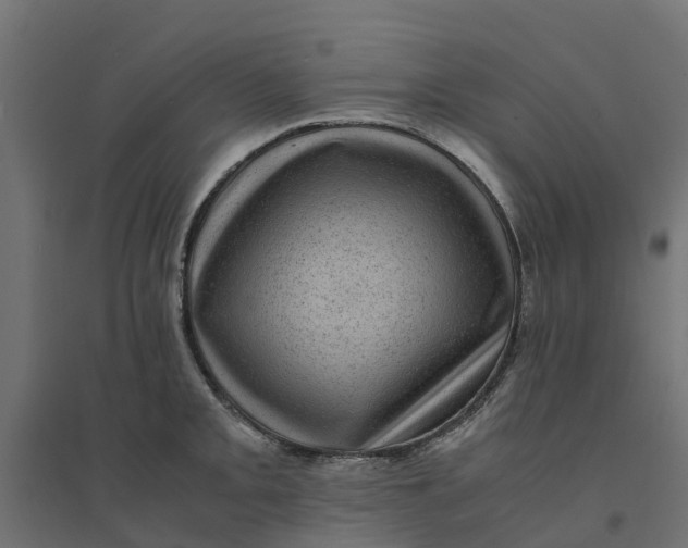 X0000094341093200711241846