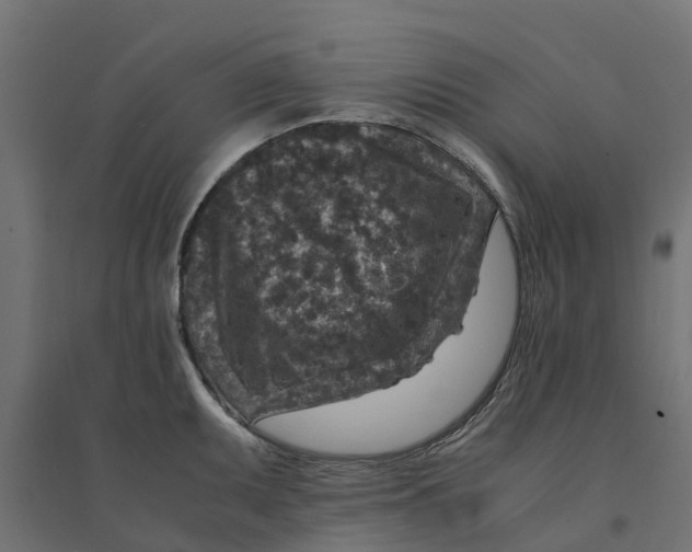 X0000094341095200711241846