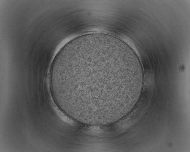 X0000094341098200711241846