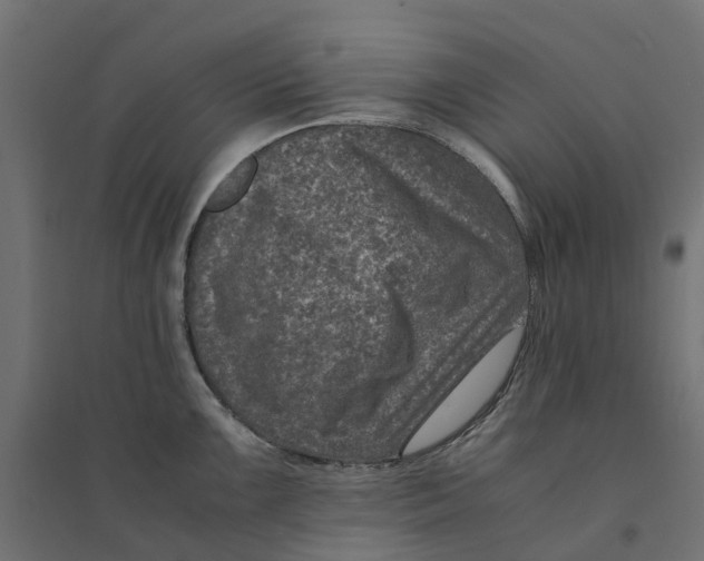 X0000094341099200711241846