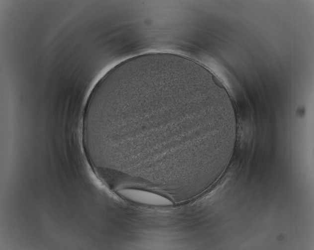 X0000094341100200711241846