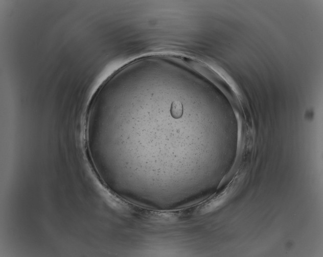 X0000094341101200711241846