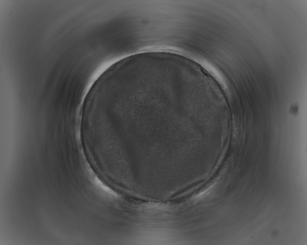 X0000094341102200711241846