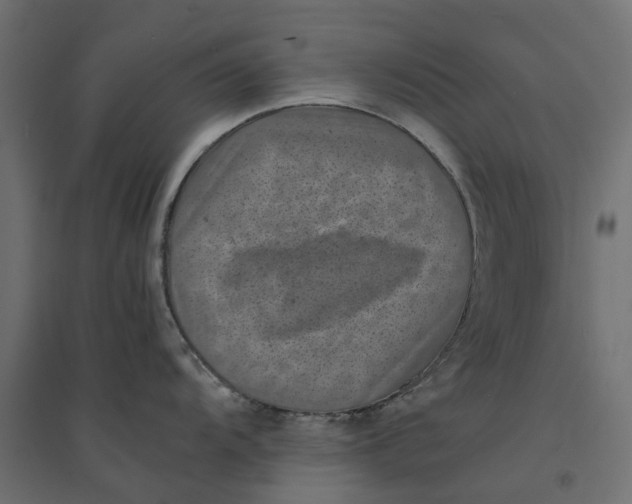 X0000094341104200711241846