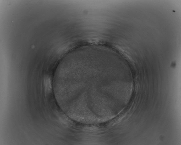 X0000094341106200711241845