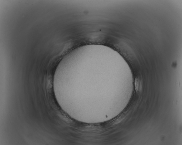 X0000094341107200711241845