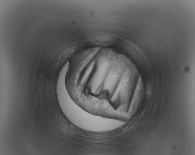 X0000094341108200711241845