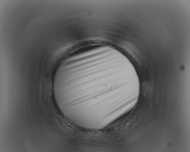 X0000094341111200711241846