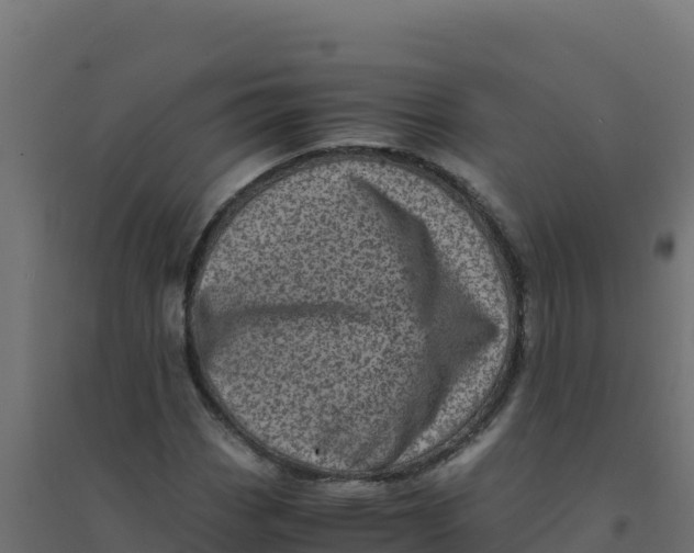 X0000094341113200711241846